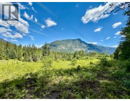 4019 Saunders Road, Passmore, BC V0G2J0 Photo 26