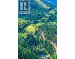4019 Saunders Road, Passmore, BC V0G2J0 Photo 31