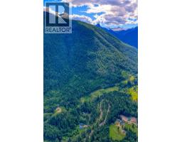 4019 Saunders Road, Passmore, BC V0G2J0 Photo 32
