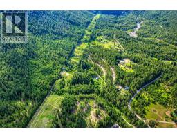 4019 Saunders Road, Passmore, BC V0G2J0 Photo 33
