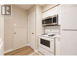 538 - 3 Everson Drive, Toronto, ON M2N7C2 Photo 13