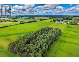 420 Solanum Way, Kawartha Lakes, ON L0A1K0 Photo 34