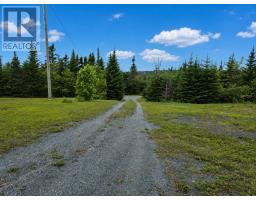 71 Strawberry Hill Road, Brigus Junction, NL A1B1G0 Photo 17
