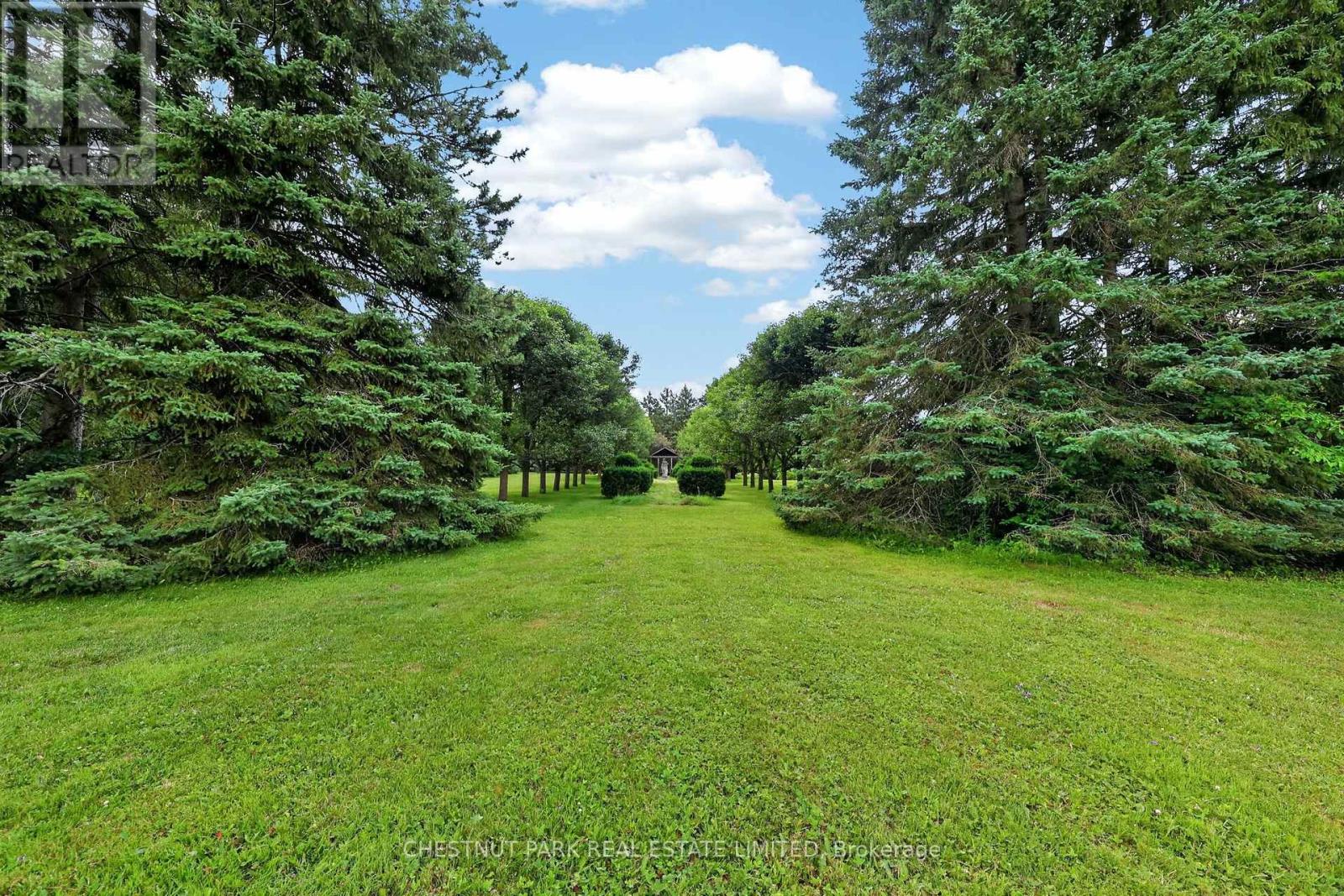 15668 SHAWS CREEK ROAD - 39
