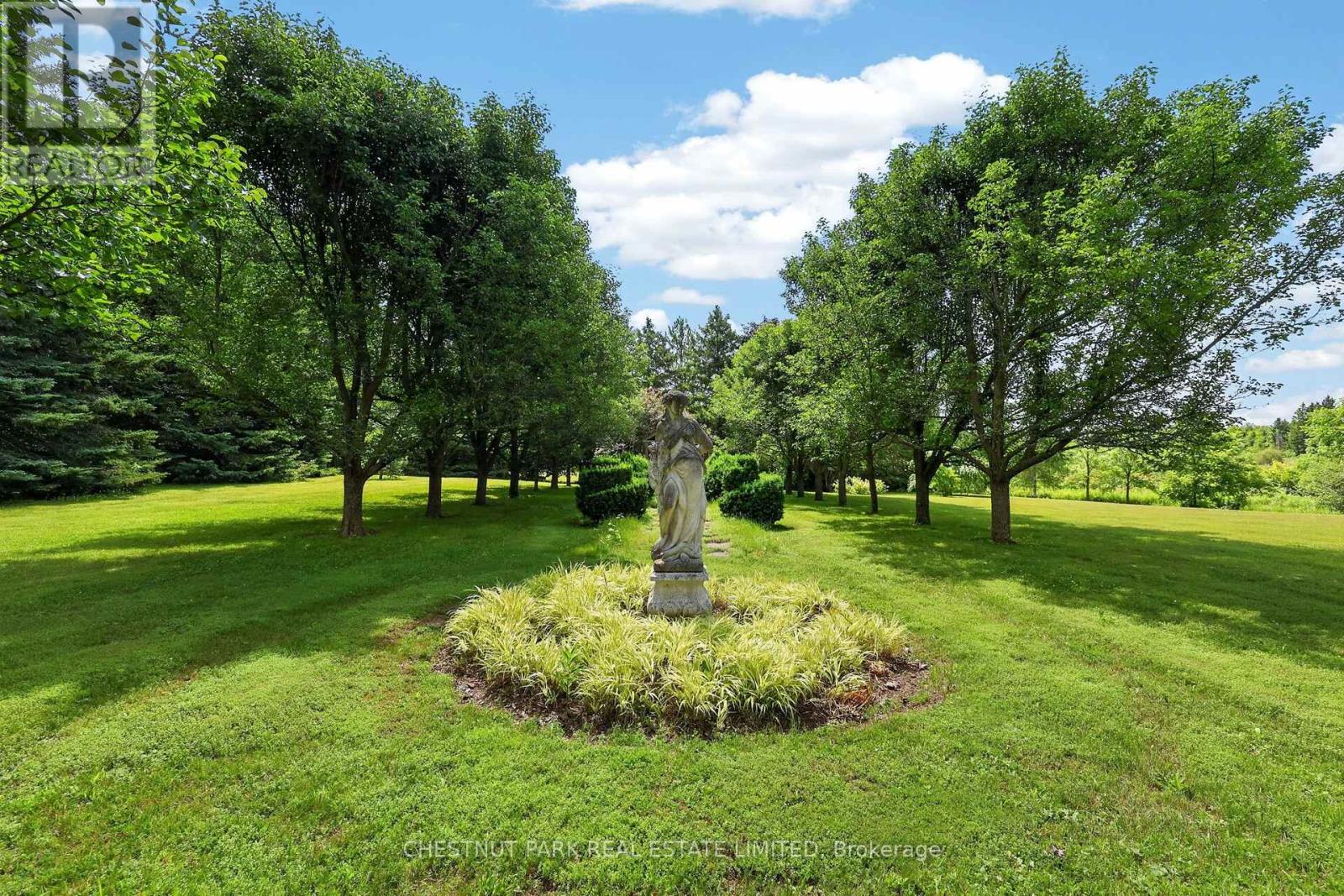 15668 SHAWS CREEK ROAD - 40