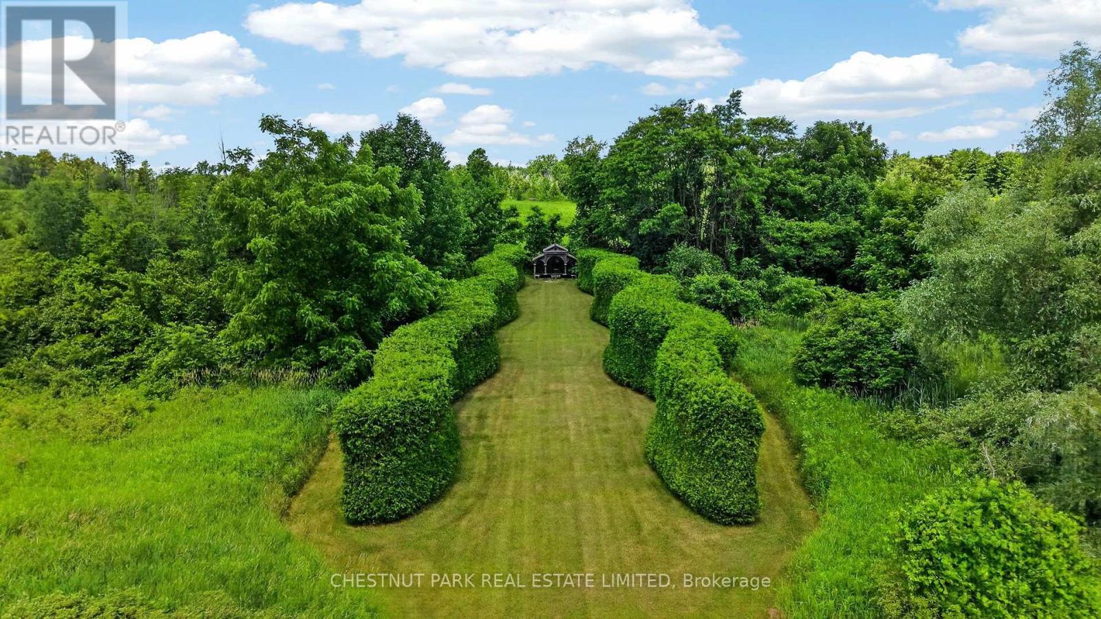 15668 SHAWS CREEK ROAD - Image 47