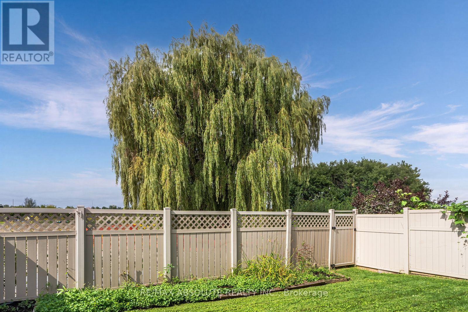 Gorgeous willow tree!