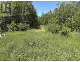 Lot 9 Longley Mountain Road, Youngs Cove, NS B0S1L0 Photo 14