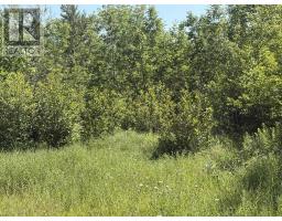 Lot 9 Longley Mountain Road, Youngs Cove, NS B0S1L0 Photo 15