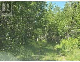 Lot 9 Longley Mountain Road, Youngs Cove, NS B0S1L0 Photo 17