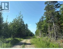 Lot 9 Longley Mountain Road, Youngs Cove, NS B0S1L0 Photo 13
