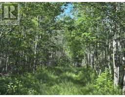 Lot 9 Longley Mountain Road, Youngs Cove, NS B0S1L0 Photo 18