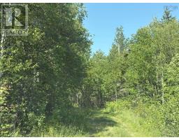Lot 9 Longley Mountain Road, Youngs Cove, NS B0S1L0 Photo 16