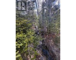 Lot 9 Longley Mountain Road, Youngs Cove, NS B0S1L0 Photo 19