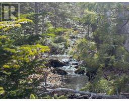 Lot 9 Longley Mountain Road, Youngs Cove, NS B0S1L0 Photo 21