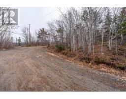Lot 9 Longley Mountain Road, Youngs Cove, NS B0S1L0 Photo 33
