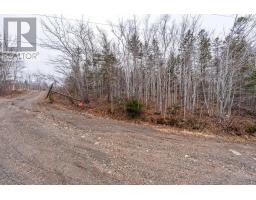 Lot 9 Longley Mountain Road, Youngs Cove, NS B0S1L0 Photo 32