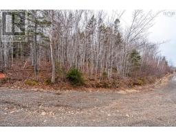 Lot 9 Longley Mountain Road, Youngs Cove, NS B0S1L0 Photo 35