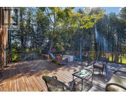 468080 Concession 12b Concession, Grey Highlands, ON N0C1C0 Photo 40