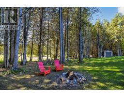 468080 Concession 12b Concession, Grey Highlands, ON N0C1C0 Photo 43