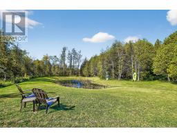 468080 Concession 12b Concession, Grey Highlands, ON N0C1C0 Photo 44