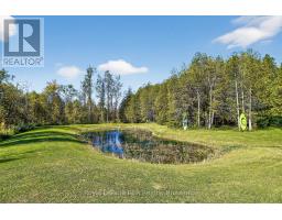 468080 Concession 12b Concession, Grey Highlands, ON N0C1C0 Photo 45