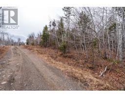Lot 9 Longley Mountain Road, Youngs Cove, NS B0S1L0 Photo 34