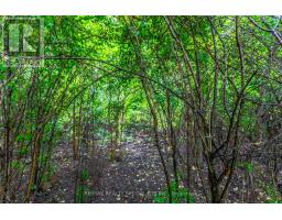6343 Alderwood Trail, Mississauga, ON L5N6X1 Photo 49