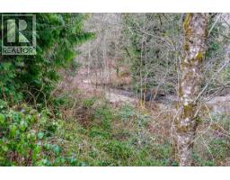 12041 256th Street, Maple Ridge, BC V4R1B5 Photo 27