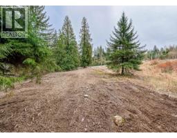 12041 256th Street, Maple Ridge, BC V4R1B5 Photo 17