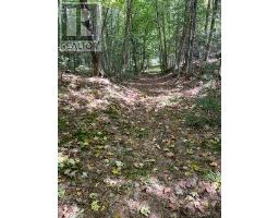 Pt Lt 15 Con 13 Alton Lane, Minden Hills, ON K0M2K0 Photo 9