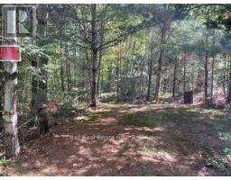 Pt Lt 15 Con 13 Alton Lane, Minden Hills, ON K0M2K0 Photo 8