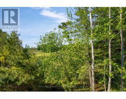 324 - 60 Mulligan Lane, Wasaga Beach, ON L9Z0C5 Photo 13