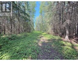224060 Township Road 680, Rural Athabasca County, AB T9S2A2 Photo 28