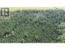 224060 Township Road 680, Rural Athabasca County, AB T9S2A2 Photo 40