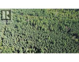 224060 Township Road 680, Rural Athabasca County, AB T9S2A2 Photo 39