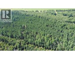224060 Township Road 680, Rural Athabasca County, AB T9S2A2 Photo 41