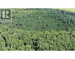 224060 Township Road 680, Rural Athabasca County, AB T9S2A2 Photo 38