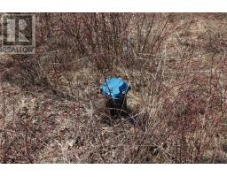 Lot Granville Road, Victoria Beach, NS B0S1A0 Photo 13