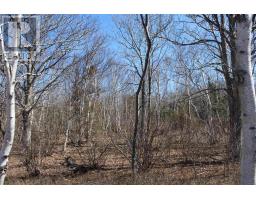 Lot Granville Road, Victoria Beach, NS B0S1A0 Photo 20