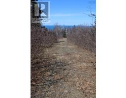 Lot Granville Road, Victoria Beach, NS B0S1A0 Photo 23