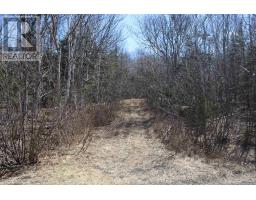 Lot Granville Road, Victoria Beach, NS B0S1A0 Photo 24