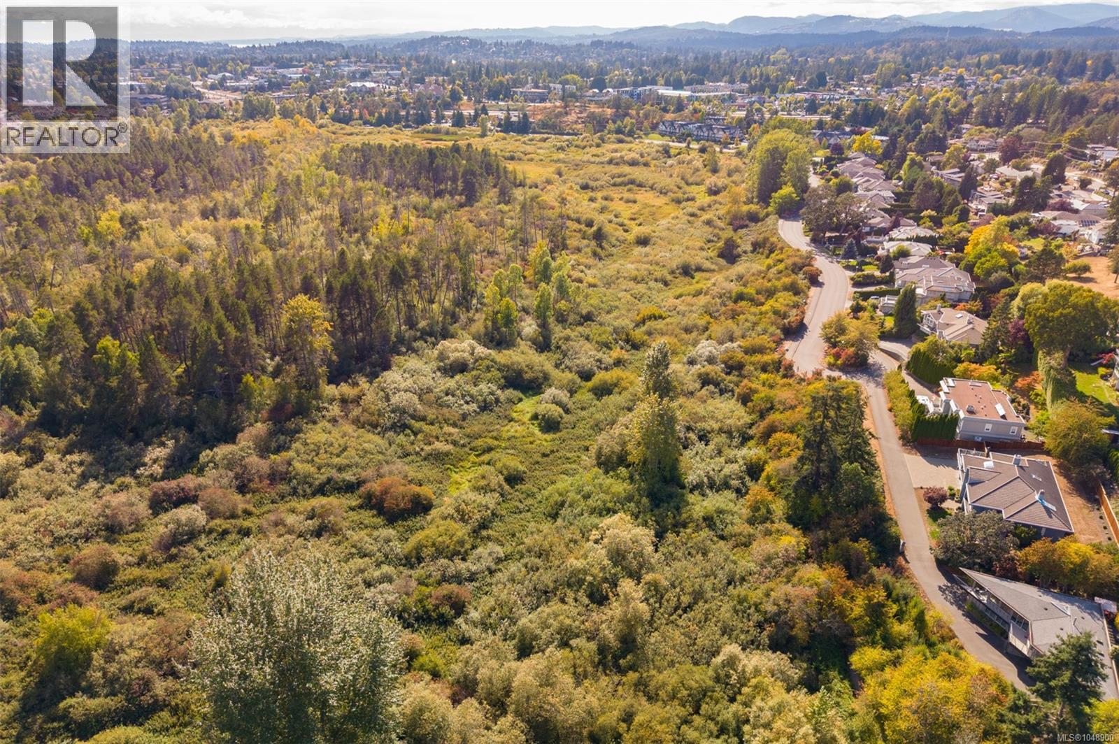 #6 909 Carolwood Dr - 54