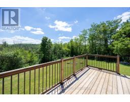 250 Silver Heights Drive, Trent Hills, ON K0L1Y0 Photo 28