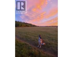 122 12 Avenue Ne, Sundre, AB T0M1X0 Photo 47