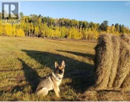 122 12 Avenue Ne, Sundre, AB T0M1X0 Photo 46