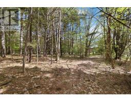 Lot 11 Kinburn Street, Mahone Bay, NS B0J2E0 Photo 9