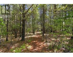 Lot 11 Kinburn Street, Mahone Bay, NS B0J2E0 Photo 8