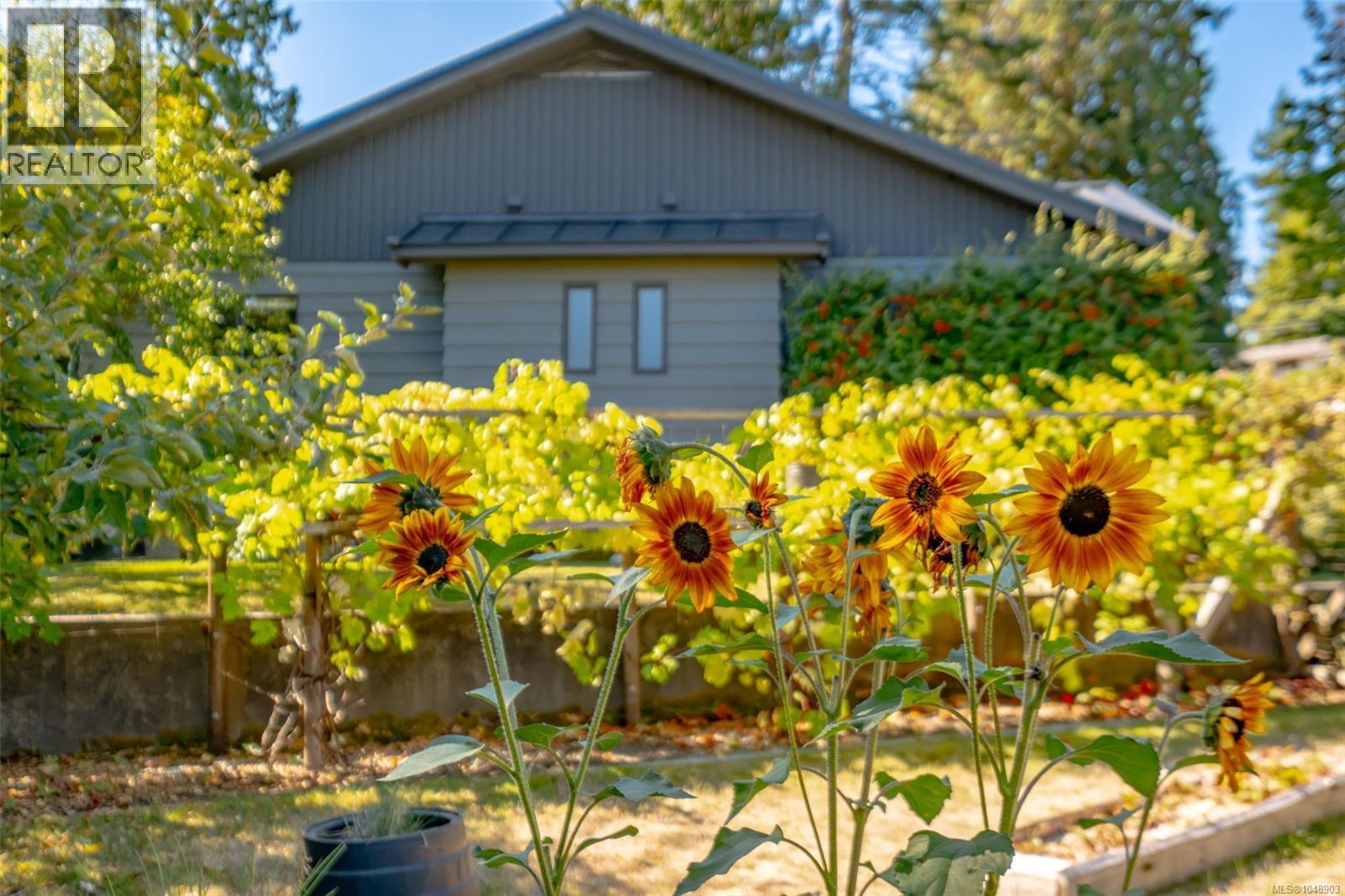842 Woodland Dr, Parksville