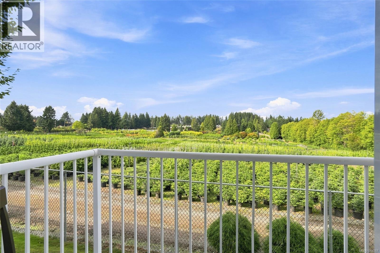 6058 Cedar Grove Dr - 4
